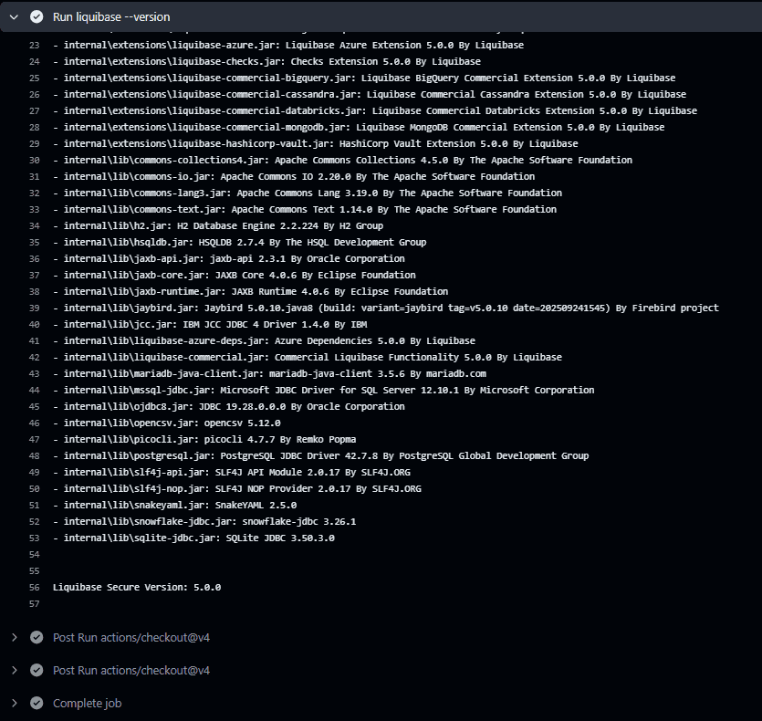 5.0 COMMUNITY/SECURE Set up your Liquibase GitHub Action - 9 - second image component