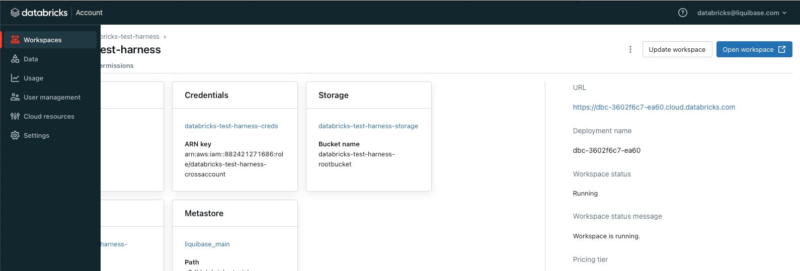 databricks-open-workspace