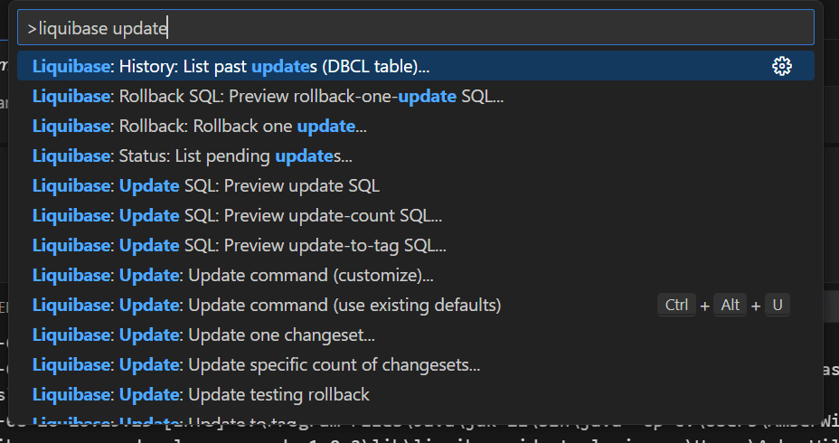 IDE Liquibase update