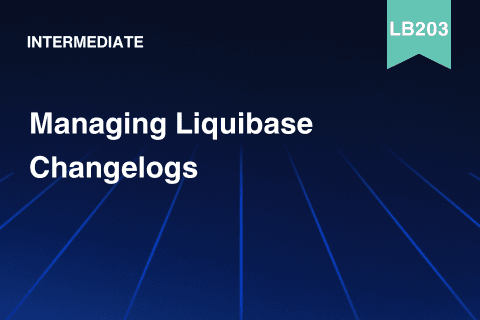 Managing Changelogs Nov 2024