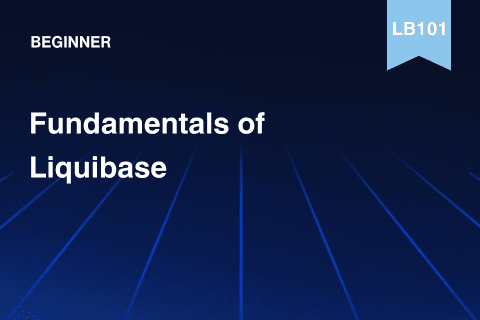 Fundamentals of LB Nov _2024